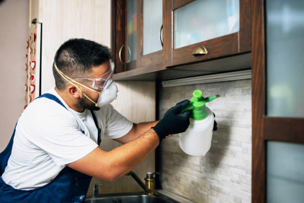 Best Flea Control Services  in South Bend, WA