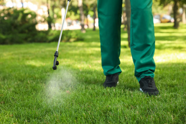 Best Best Pest Control Companies  in South Bend, WA