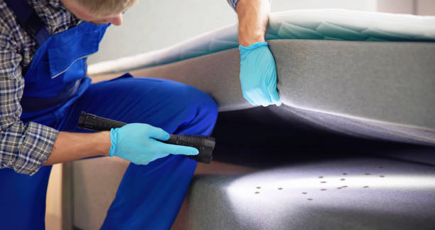 Best Bed Bug Extermination  in South Bend, WA