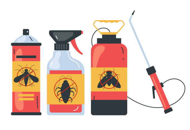 Best Affordable Pest Control Services  in South Bend, WA