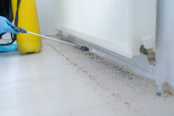 Best Best Pest Control Companies  in South Bend, WA