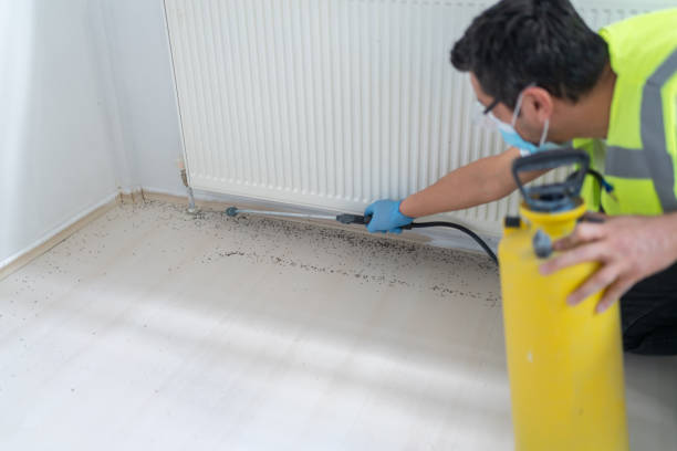 Trusted South Bend, WA Pest Control Experts