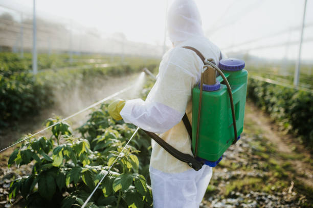 Best Affordable Pest Control Services  in South Bend, WA